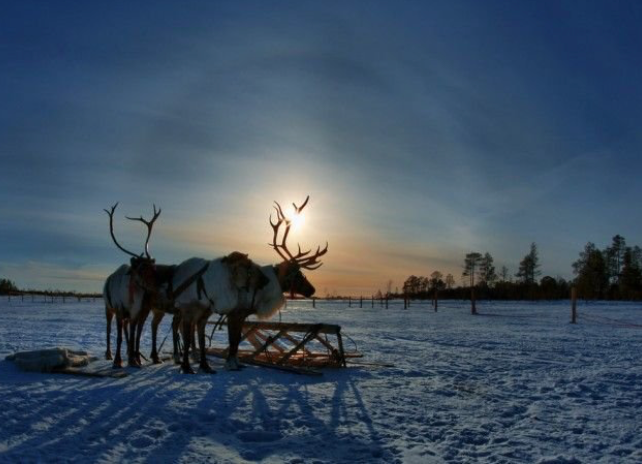 Маргааш, нөгөөдөр төв болон зүүн аймгуудын нутгаар цас орж, цасан шуурга шуурна